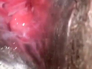 Glimpse of My Black Holes