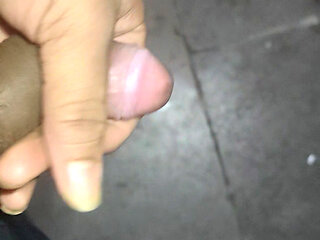 Sarika gets fucked in Pune