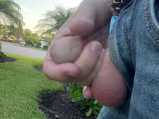 Public Exposure in Side yard