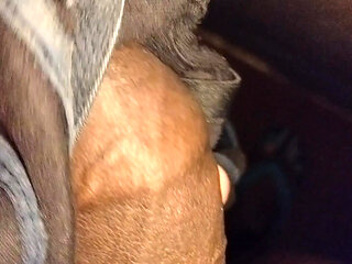 My dick on my hot aunty use bra and blouse