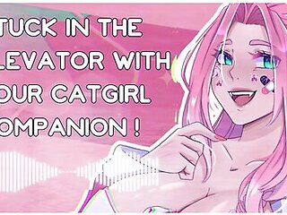 [f4m] Stuck In The Elevator With Your Catgirl Companion [nsfw Asmr] [erotic Audio]