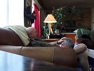 Silver Fox Servicer