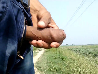 Indian Big Cock Showing Road Side