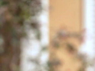 Swame House, French Porno Reality