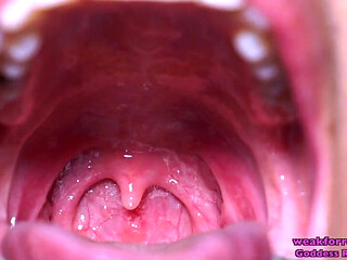Exploration of Rosie's Mouth (standard Definition)