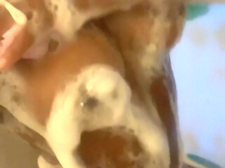 Watch My Soaking Wet Body