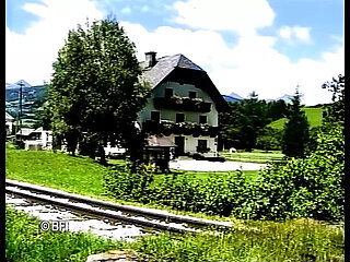 Sex alpine.