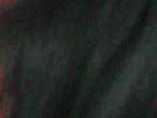 Young Kitten Begging to Be Impregnated