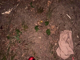 Some Nights at the Park