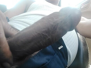 Big Cock Any Female Want