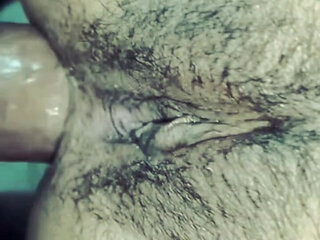 Bhabhi's Sexy Little