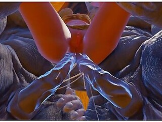 Furry Monsters Fucked My Wife, Double Anal And Double Penetration