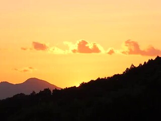 010-rottuui-touy-gii-jur