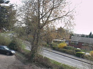 German cougar slut stuffs herself with a big dildo