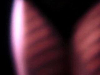 Megan Coxxx Doesn't Think She's Trashy