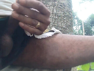 Big cock handsome gay boy focking shemele