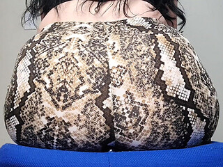 Snake in the Grass