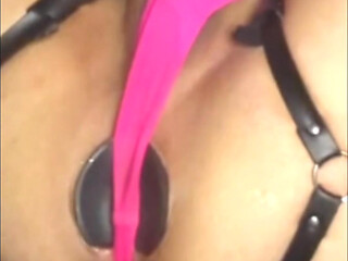 Paws, pink thong and a buttplug