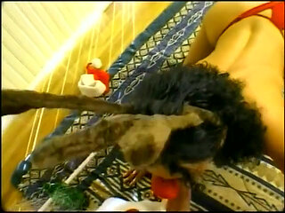 When the reindeer is sexy, bad Santa Claus pulls out his cock!