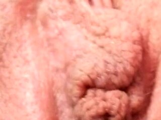 Pulled amateurs close up car sex