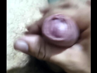 Meu Pau