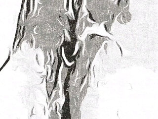 Granny Creampie Pussy