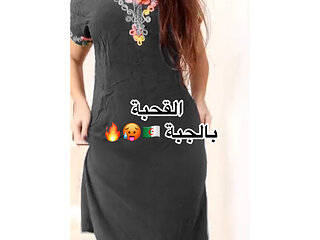 Ranou de alger tetwarki w tbanyat jdid 2026