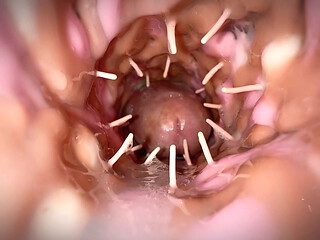 She is loving my balls many times and her piny vagina is hot