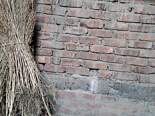 Old man cool masterbation 2 times