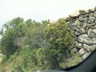 Horny Hitchhiker Give with Her Mouth for the Ride