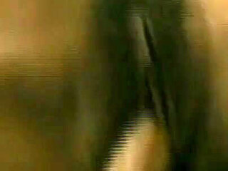 Lesbians in Heat