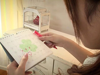 Hairy Japanese Babe Rika Aiba Has Her Lustful Pussy Dicked