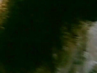 A Stranger Between My Legs