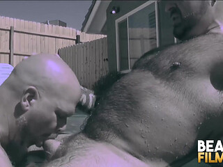 BEARFILMS Bears Marc Angelo And Wadeca Shen Cum After Anal