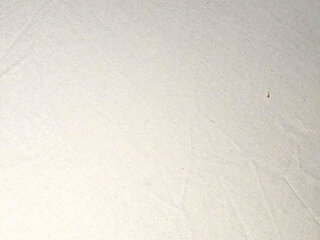 Step mom loves playing with step son big balls under blanket