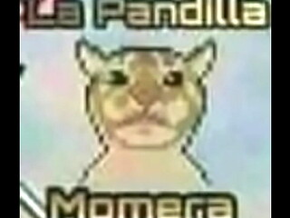critica ala pandilla momera