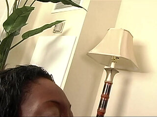 Xena Is a American Chocolate