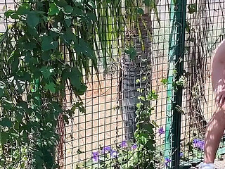 Mature Swingers Outdoor Tennis Court Reverse Gangbang