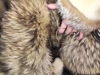 Fur Turns Me Into Anal Slut