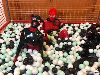 The Ball Pit in Full Rubber