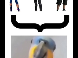 Lista mais gay