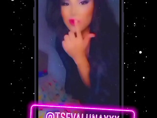 TS EVALUNA LATINA SHEMALE BIG HARD DICK