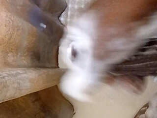 Bbm solo in shower