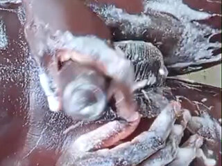 Big Ass Guy Really Working His Ass Right