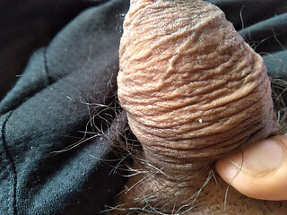 great cock receiving caresses