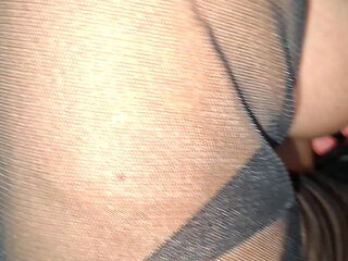 Meon Meaon I Am Kitty Cat