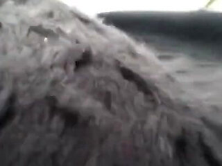 Fast walking braless