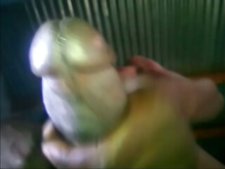 A HUGE DICK MASTURBATING