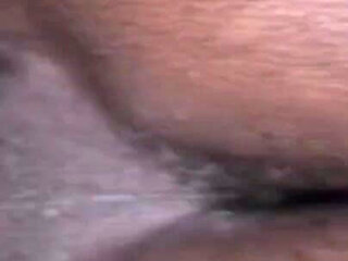 I M Still Your Little King Cobra Slut