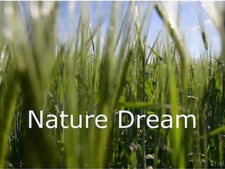 Nature Dream - Veronica Snezna